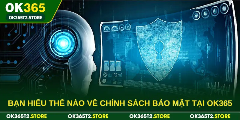 Bạn đã từng xem qua chính sách bảo mật tại OK365 chưa?