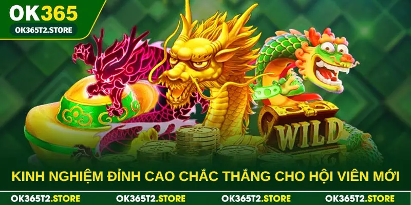 Kinh nghiệm đỉnh cao chắc thắng cho hội viên mới